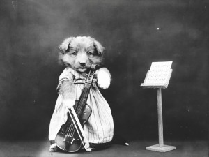 Dog_with_Violin